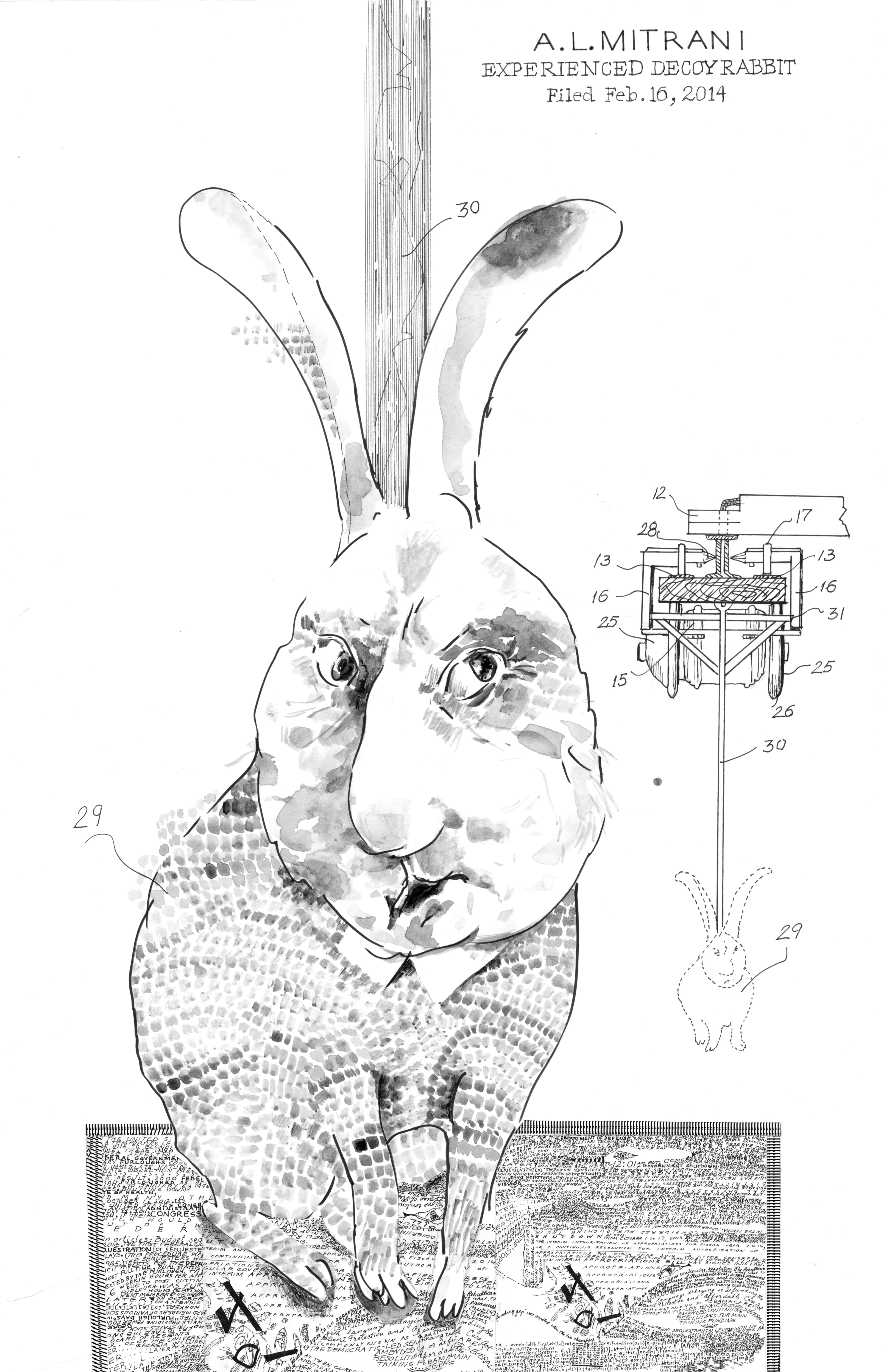 ink-drawings/experienced_decoy_rabbit.webp